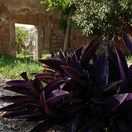 Masseria Maccarone *