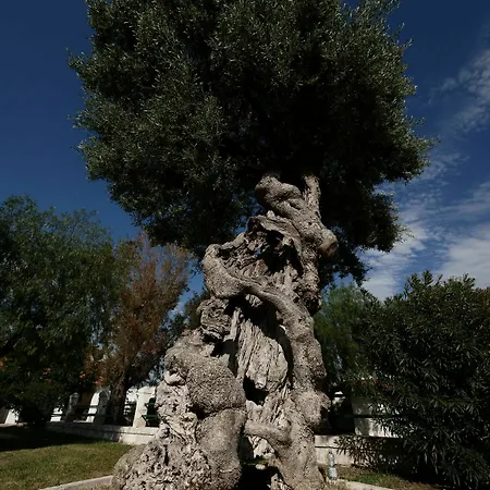 Masseria Maccarone Landhuis *