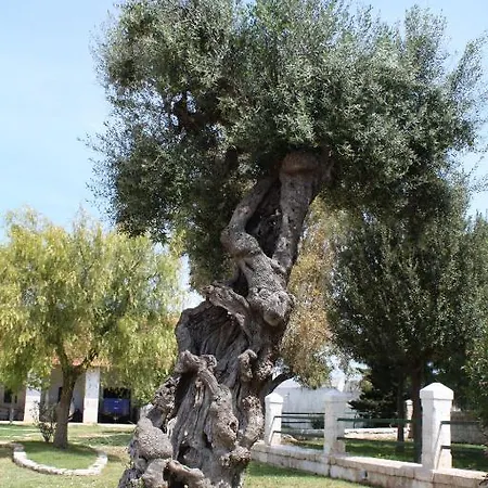 Casa di campagna Masseria Maccarone *