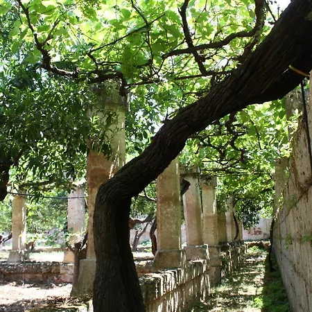 Casa di campagna Masseria Maccarone *
